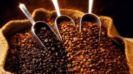 El café ecuatoriano es apetecido en España por su calidad.