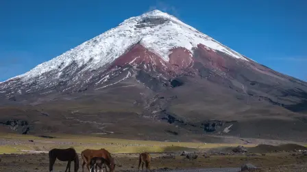 El volcán Cotopaxi tiene una altura de 5 897 metros sobre el nivel del mar