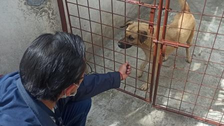 UBA tiene un canal de denuncias para atender casos de maltratos en Quito.
