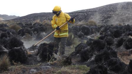 La vegetación quedó destruida en el Parque Nacional Cotacachi Cayapas después de cinco días del incendio forestal.