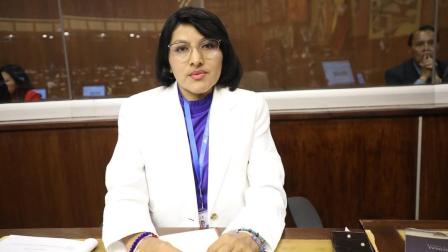 La asambleísta Mariuxi Sánchez era parte de la Comisión de Régimen Económico.