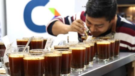 El 20 de septiembre se realizará la Expo Café 2025 en la plaza Quinde, en La Mariscal.