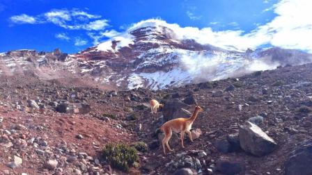 Los Parques Nacionales están abiertos a turistas nacionales y extranjeros.