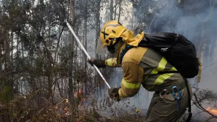 Dos bomberos fueron arrestados por migración mientras apagaban el fuego en Washington.