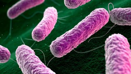 La bacteria 'come carne' puede provocar una infección que se extiende bajo la piel y puede destruir la grasa y el tejido que recubre los músculos.
