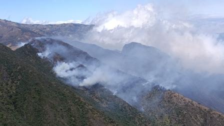 La Secretaría de Riesgos monitorea incendio forestal en Cañar.