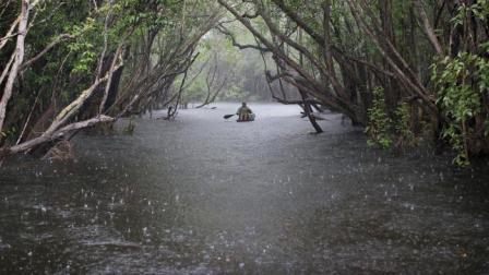 De acuerdo con el Inamhi las lluvias serán en distintas provincias de la Amazonía.