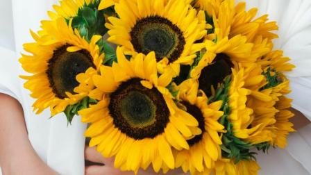 Cada 21 de septiembre las redes sociales se inundan de imágenes de flores amarillas.