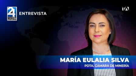 'Desde hace mucho tiempo existen infiltraciones de mineros ilegales en operaciones legales', María Eulalia Silva, presidenta de la Cámara de Minería, sobre la minería ilegal.