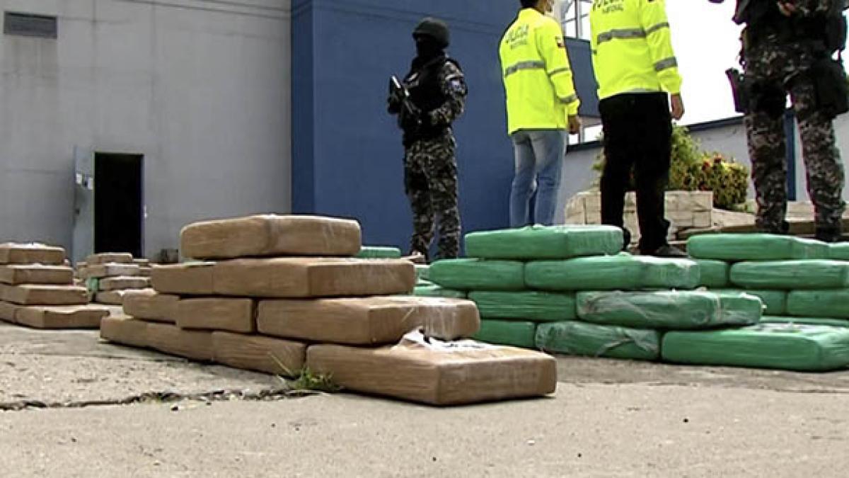 Policía da un golpe al narcotráfico tras incautar media tonelada de droga
