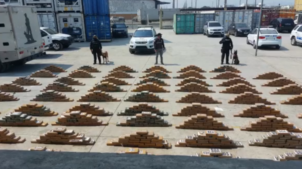 Siete toneladas de droga fueron decomisadas en Guayaquil en una semana