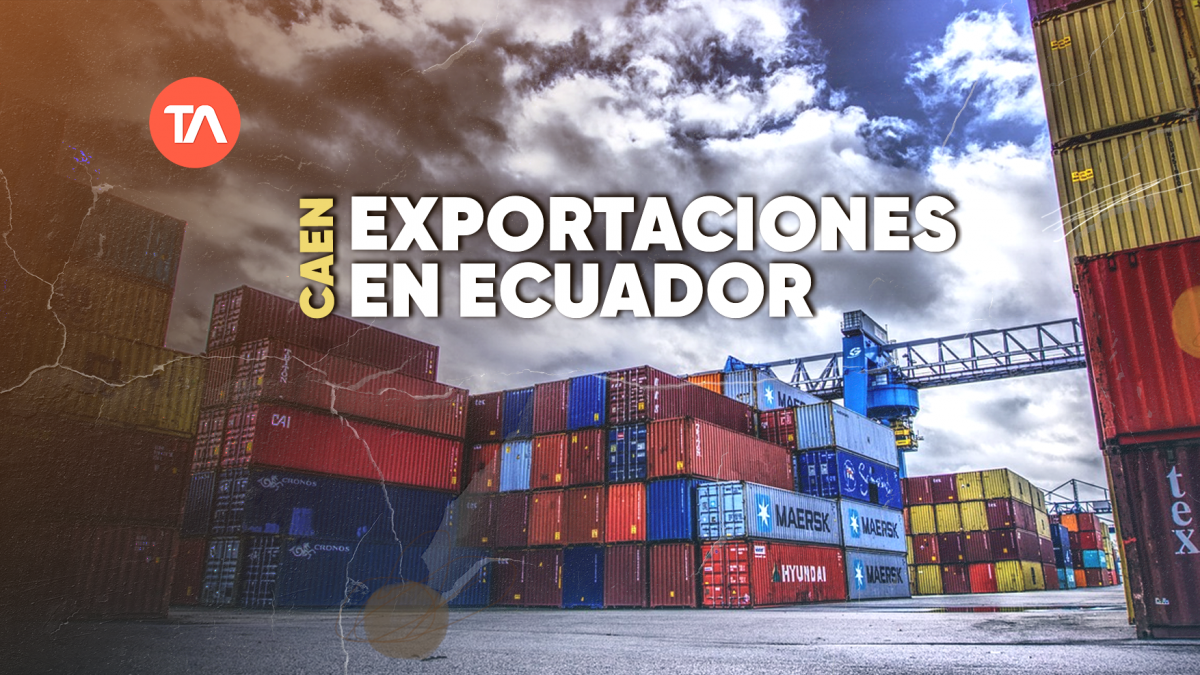Caen exportaciones de Ecuador en primer trimestre de 2023