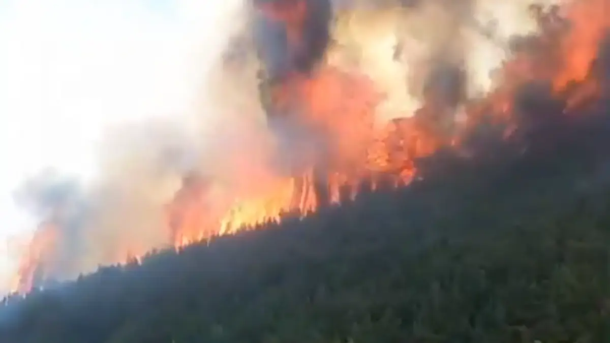 Al menos seis provincias de Ecuador mantienen incendios forestales activos