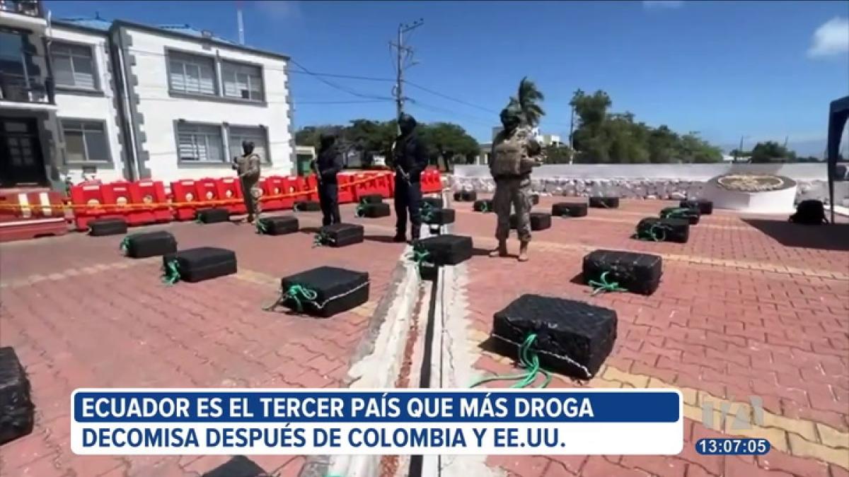 Cerca de 100 toneladas de droga fueron incautadas en lo que va del año