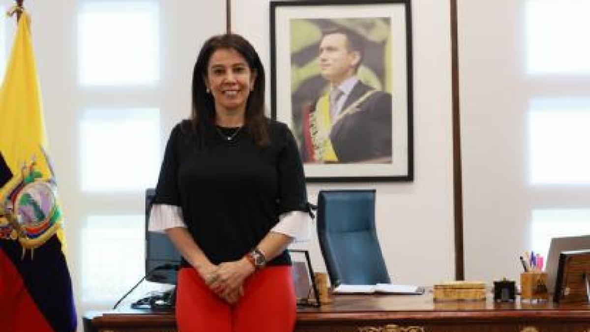 Acción Democrática Nacional nombra a Cinthya Gellibert como directora y se prepara para elecciones seccionales de 2027 sin alianzas — image 3