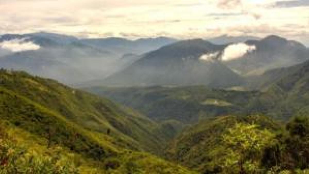 ¿Cuánto vale la naturaleza para la economía de Ecuador?